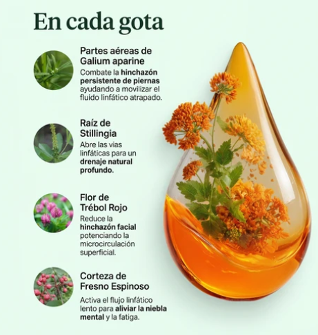 Reviva Gotas para Drenagem Linfática